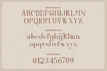 Aestetic â€“ Modern Serif Font