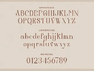 Aestetic â€“ Modern Serif Font