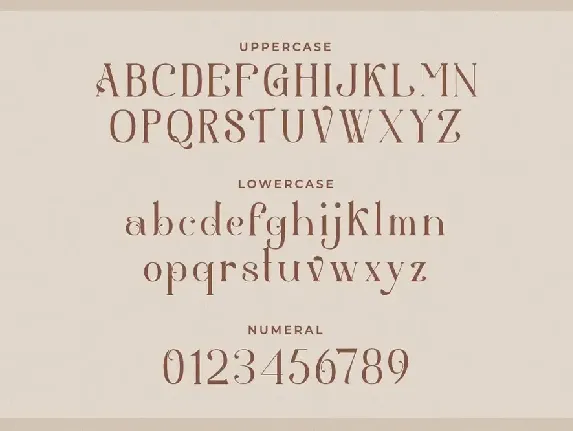 Aestetic â€“ Modern Serif Font