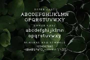 Groghi - geometry font