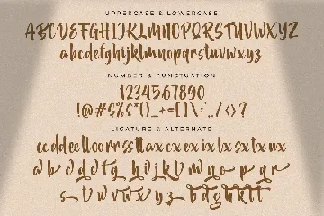 Akidan Hatory - Bold Script Font