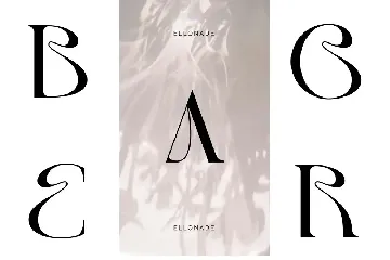 Elonade - Classic Vintage Serif Display Font