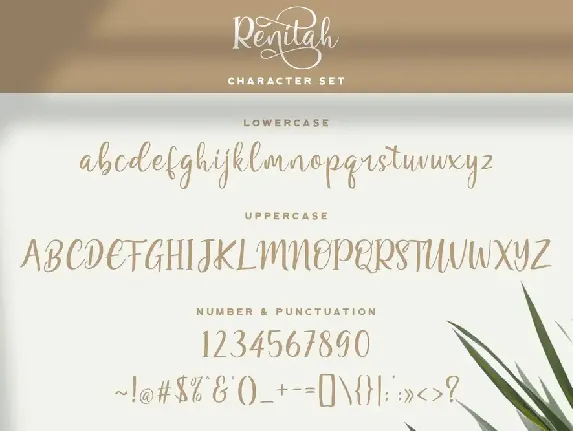 Renitah - Lovely Script Font