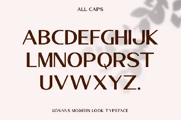 Kosans - Modern Look Typeface font