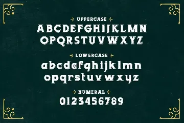 Javanica â€“ Vintage Display Font