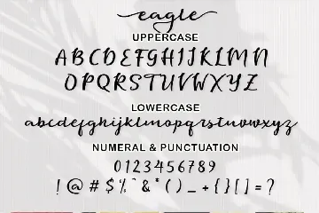 Eagle Script Font