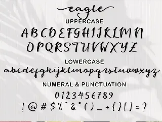 Eagle Script Font