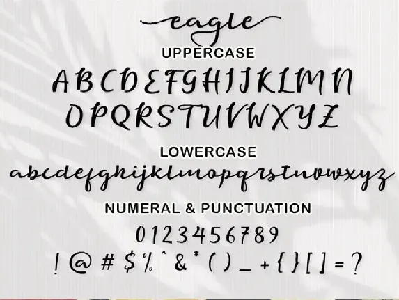 Eagle Script Font