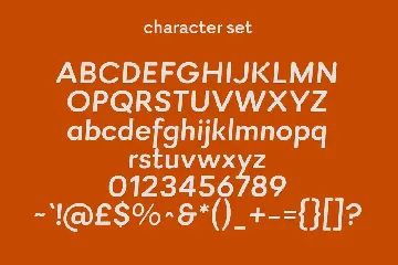 Rinkart Sans Display Font