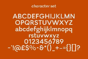 Rinkart Sans Display Font