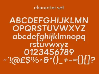 Rinkart Sans Display Font