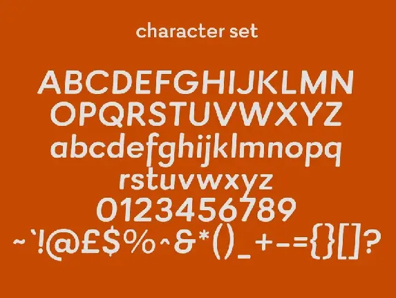 Rinkart Sans Display Font