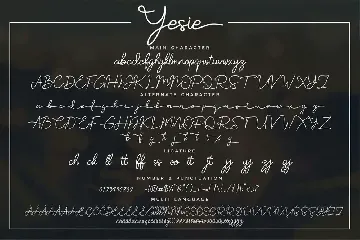 Yesie - Monoline Cursive Script Font