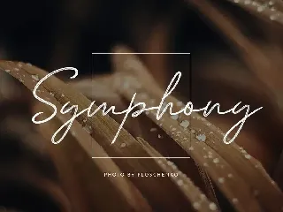 Andiela Sathony Signature Font