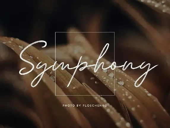 Andiela Sathony Signature Font