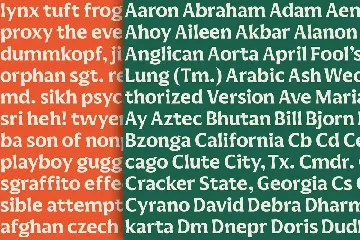 Nartier Decorative Sans Font