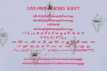 Cinnamon Peaches font