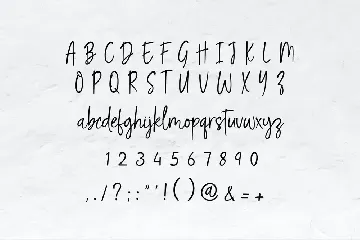 Renita Montes Signature Font