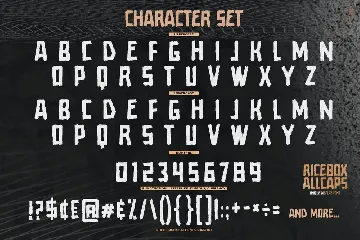 Ricebox Allcaps - Unique Display Font