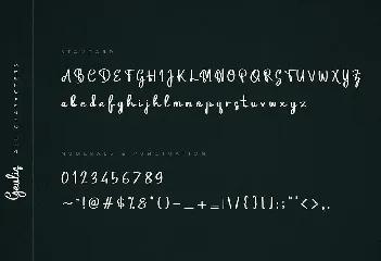 Geulis Stylish Font