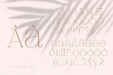 Jaque | Royal Serif font