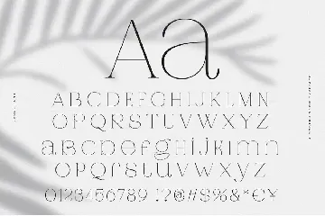 Jaque | Royal Serif font