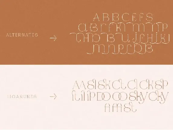 Jaque | Royal Serif font