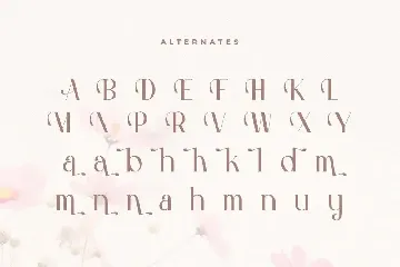 Hannah - Cute Serif Font