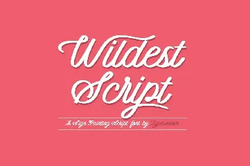 Wildest Script font