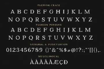 Fashion Pressed Advertisement Font