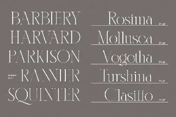 Karlotte - Elegant Serif Font