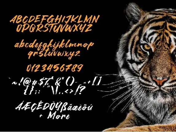 Asia Tiger font