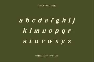 Meizzaluna - Classic Serif Display Font