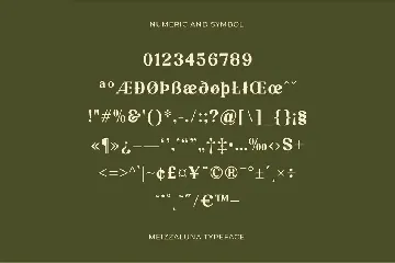 Meizzaluna - Classic Serif Display Font