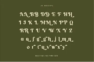 Meizzaluna - Classic Serif Display Font