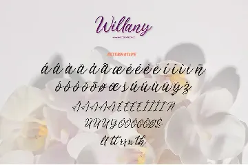 Handwritten Script - Willany Signature font