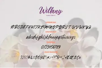 Handwritten Script - Willany Signature font