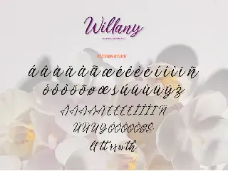 Handwritten Script - Willany Signature font