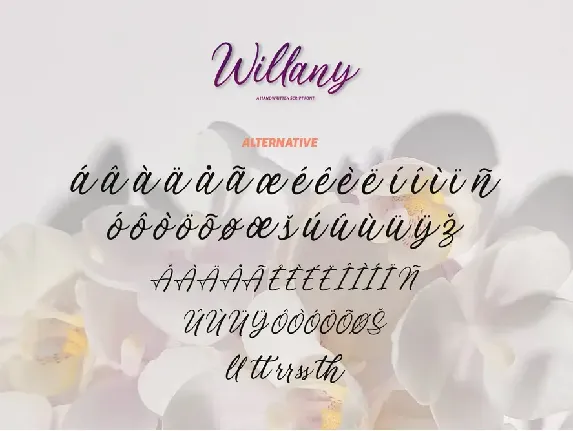 Handwritten Script - Willany Signature font