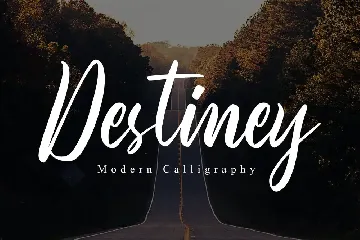 Destiney - Elegant Script Font