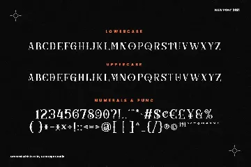 Gothicha Sans Business Font