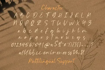 Mystique - Luxury Signature Font