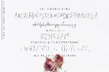 Beauty Signature - Handwritten Font