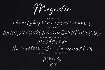 Magnolia Stylish Business Font