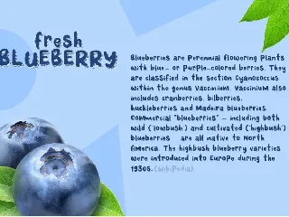 Fresh Blueberry font