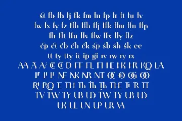 Mikola Serif Display Font