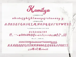 Kamilya Business Font