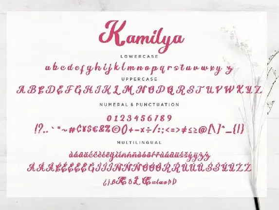 Kamilya Business Font