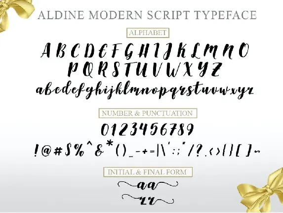 Aldine Script font