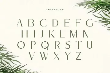 Golden - Luxury Modern Font